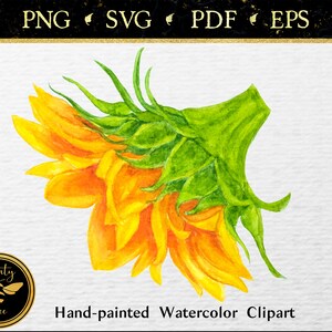 Akwarela Słonecznik Foral SVG Clipart