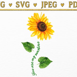 Jesteś moim słońcem Słonecznik SVG, Słonecznik PNG Cytaty Wydruki, SVG Inspirujące Cytaty Słonecznik Clipart, Kwiat Cytaty Nauczyciel SVG