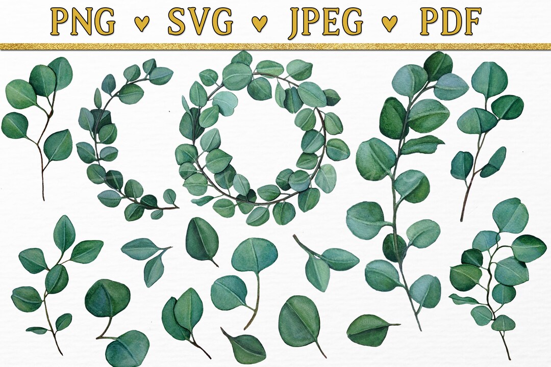 Eucalyptus Watercolor Clipart - Wedding Invitation Graphics (SVG, PNG ...