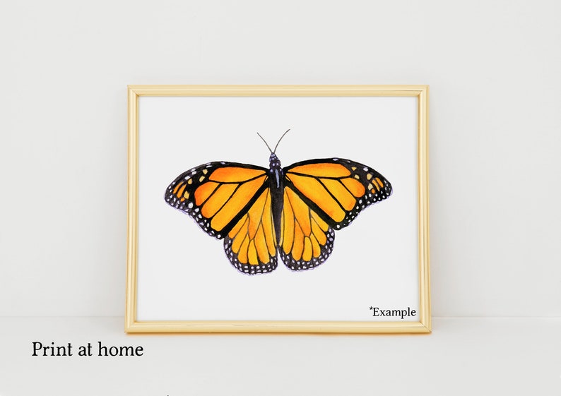 Free Free Queen Chrysalis Svg 385 SVG PNG EPS DXF File