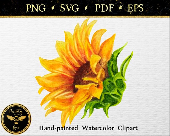 Download Sunflower Clipart Flower Svg Floral Clipart Sunflower Svg Etsy