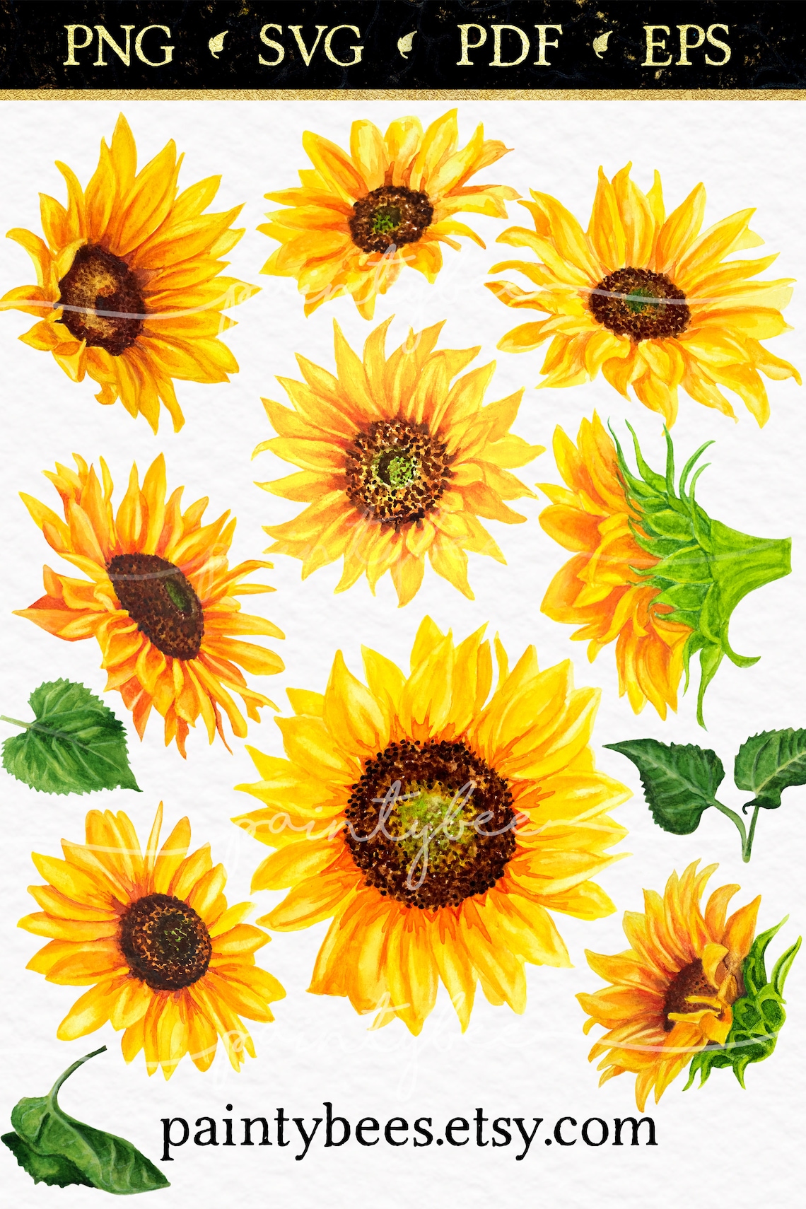 Download Fall Watercolor Sunflower SVG Bundle Flower Stem Clipart ...