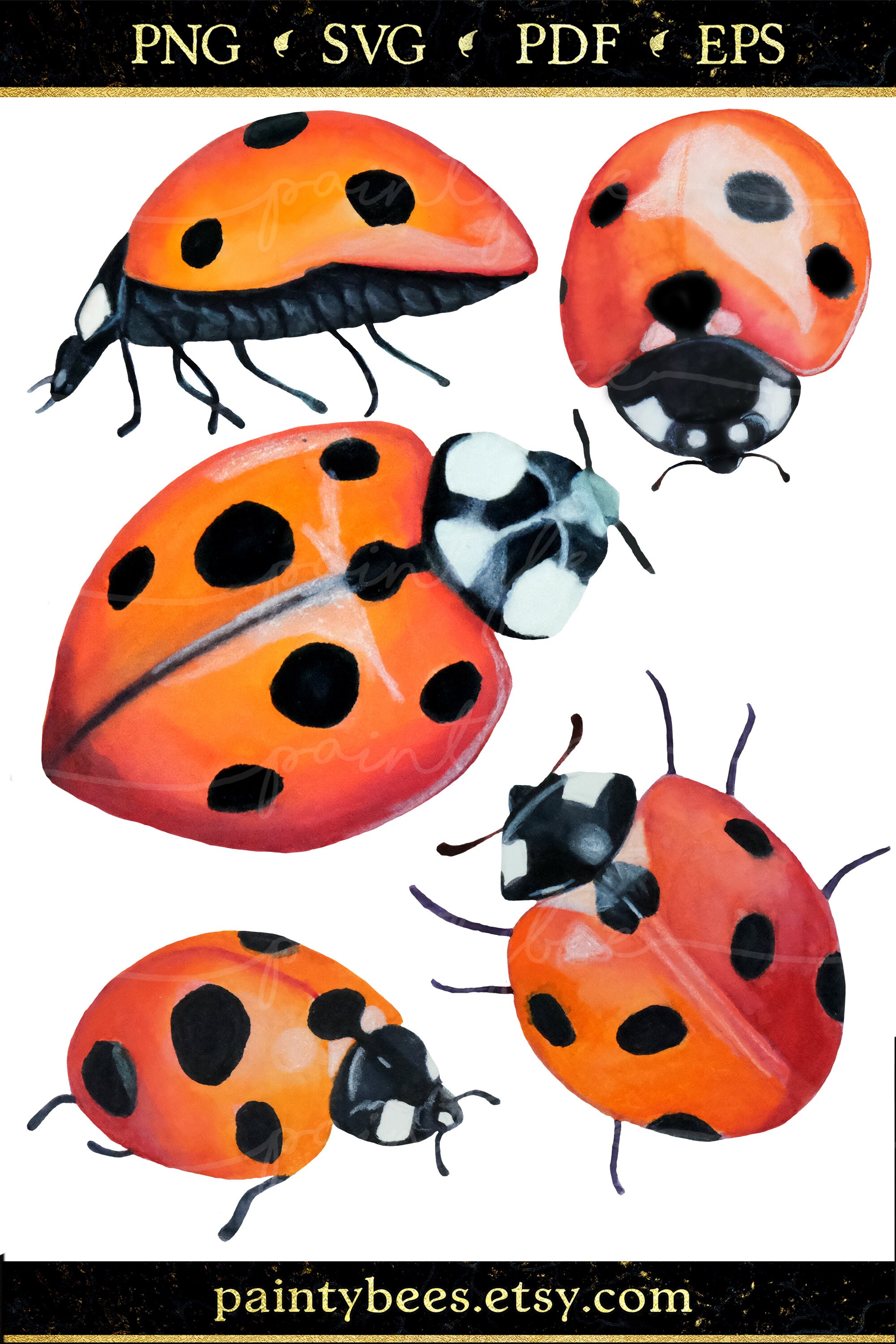 Ladybug SVG, Art Decal Cut Files, Cute Lady Bug Little Girl Party ...