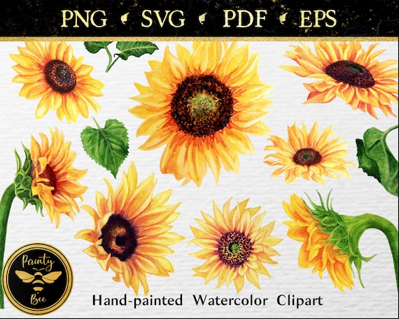 Free Free 124 Realistic Sunflower Svg SVG PNG EPS DXF File