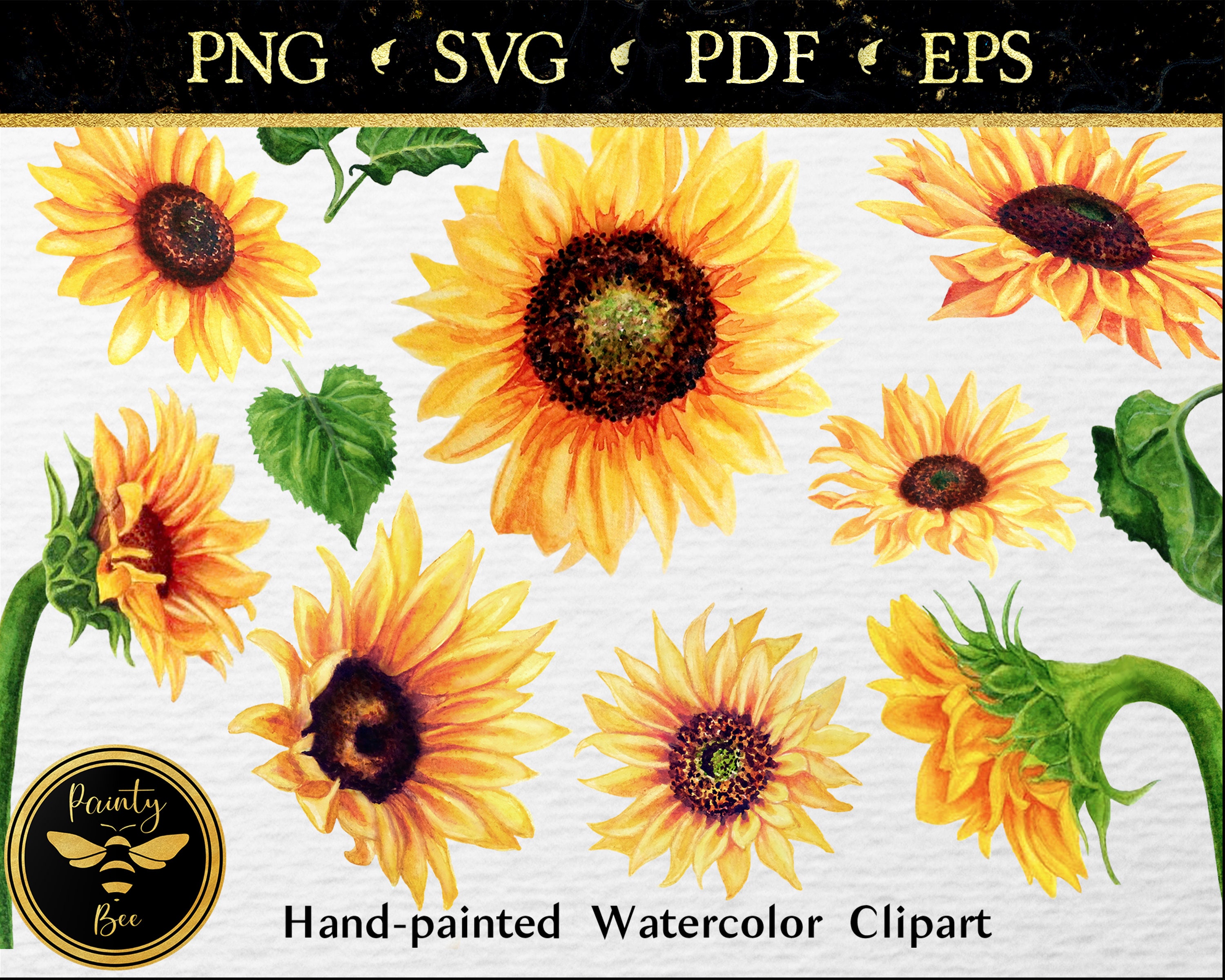 Download Fall Watercolor Sunflower Svg Bundle Flower Stem Clipart Etsy