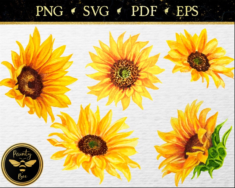 Download Sunflower SVG Flower SVG Watercolor Flower Clipart | Etsy