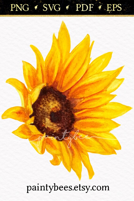 Download Watercolor Sunflower Svg Floral Clipart Girasol Flowers Png Etsy