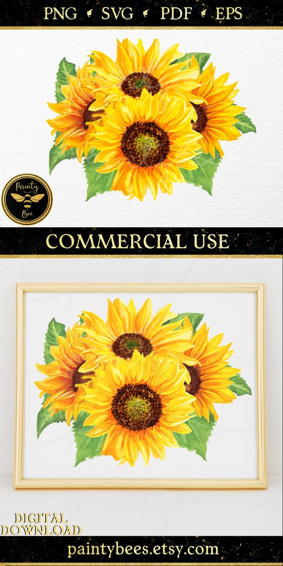Free Free 185 Sunflower Waterslide Svg Free SVG PNG EPS DXF File