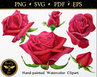 Aquarel Tuin Clipart, Floral Rose svg, Flower Design Elements PNG