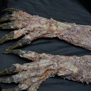 May include: Two realistic-looking prosthetic monster hands with long, sharp claws. The hands are made of a fleshy, textured material with visible veins and tendons. The claws are a dark brown color.