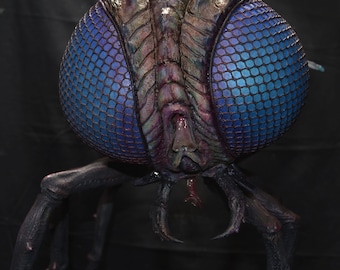 May include: Close-up of a large, dark-colored insect with two large, blue, iridescent eyes. The insect has a segmented body and long, spindly legs.