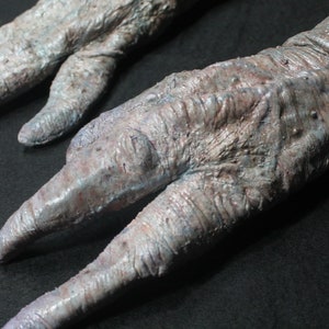 May include: Close-up of two detailed, textured, gray and blue alien hands with long, slender fingers.