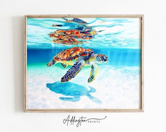 浮世絵 ウミガメ 日本海沿岸 | マキシマリスト ウォールアート