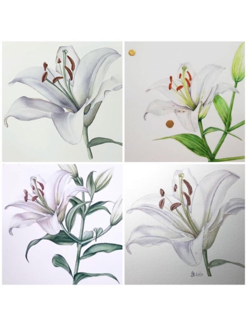 How to Paint Lily, Easy Watercolor Tutorial, Step by Step Flower Video Lesson, Downloadable