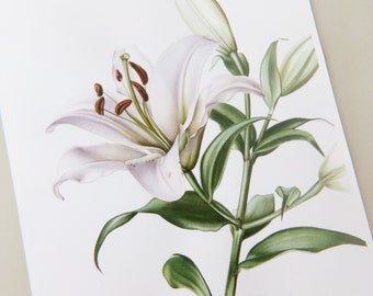 How to Paint Lily Easy Watercolor Tutorial Step by Step - Etsy Canada