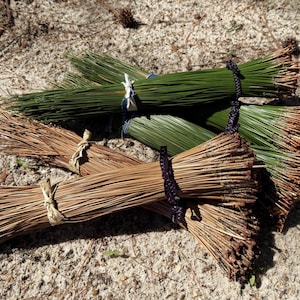 longleaf pine needles
