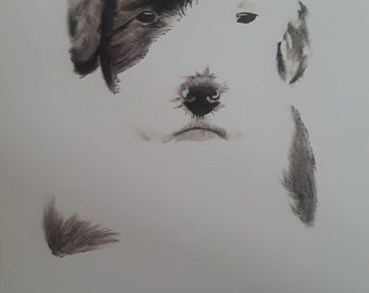 Baby sheep dog original print 1 of 24