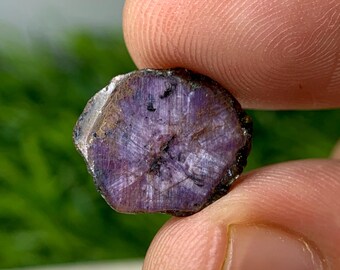 Natural Ruby Trapiche 13.6x11 MM 4.90 Carat Hexagon Shape Polished RubyTrapiche Slice Gemstone for Jewellery Making