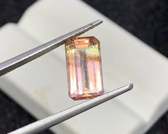 Natural Bi Colour Tourmaline Faceted Octagon Cut Loose Stone For Jewelry Making 6.2x11.1x4.4mm 2.70 Cts