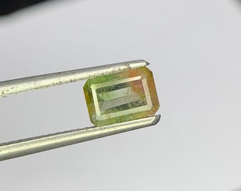 Natural Bi Colour Tourmaline Faceted Octagon Cut Loose Stone For Jewelry Making 5x7x2.8mm 0.80 Cts