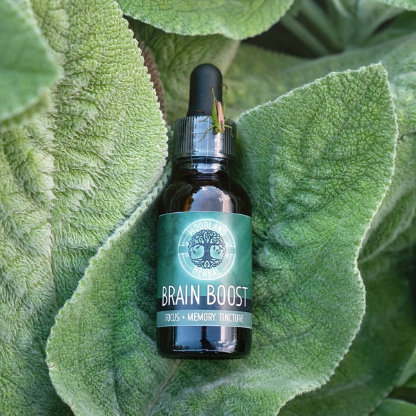 Focus & Memory Tincture - All Natural Plant-Based Extract, Brain Food, Energy, Clarity, Focus, Creativity, Study Aid