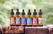 Rare Plant Tincture - Potent + Rare Medicinal Plant Extracts for General Wellness - Blue Lotus, Red Lotus, Agarikon, Huckleberry, Dream Herb 