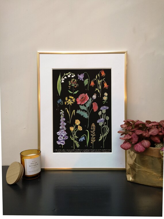 Wildflower print. Botanical chart. Vintage style floral. Living room art. Kids room decor. Woodland decor. Bird lovers. Playroom.