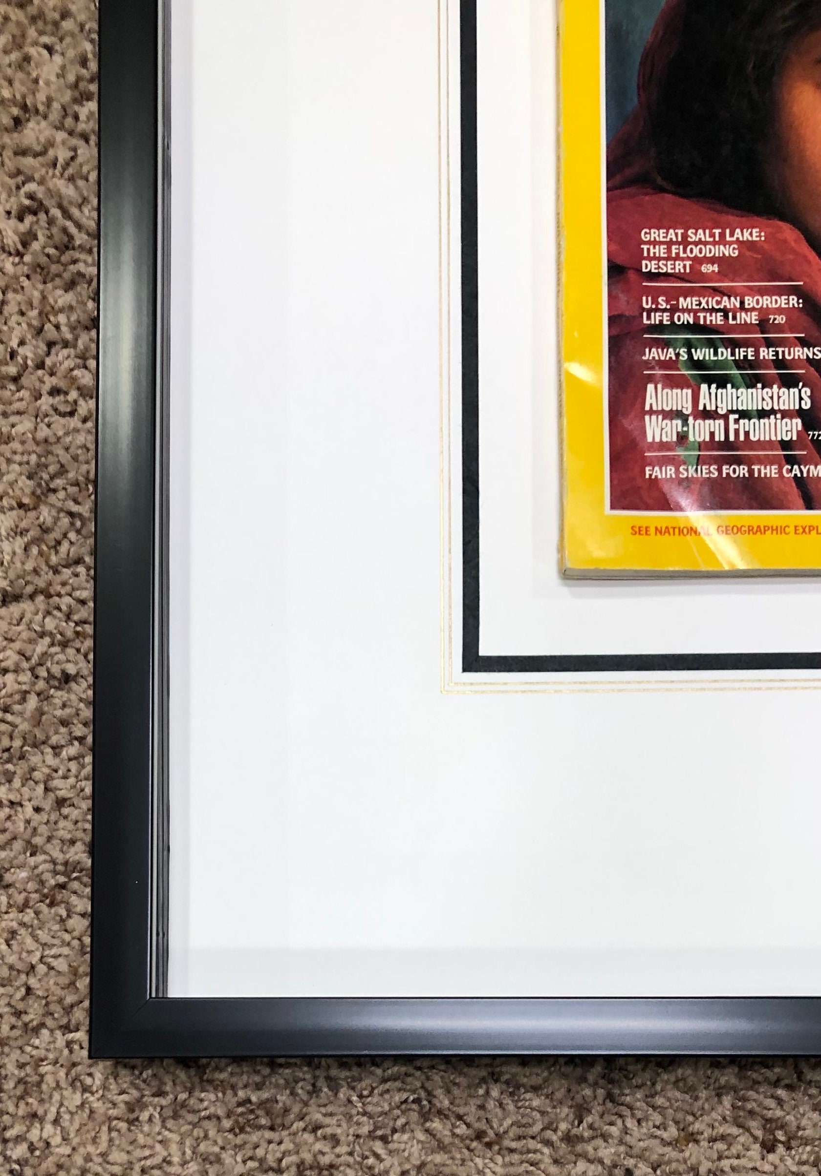 Framed National Geographic Magazine, June 1985, French Matted