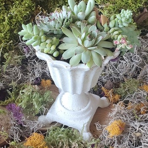 Cast Iron footed Urn Home Garden Table Fall Wedding Candle Floral Decor