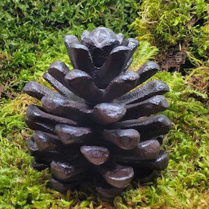 May include: A dark brown cast iron pine cone ornament. The pine cone is detailed and realistic, with a textured surface. The ornament is sitting on a bed of green moss.