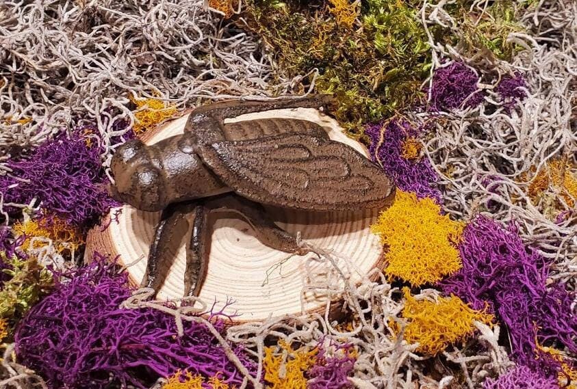 Cast Iron Brown House Fly Insect Home Garden Yard Lawn Outdoor Plant ...