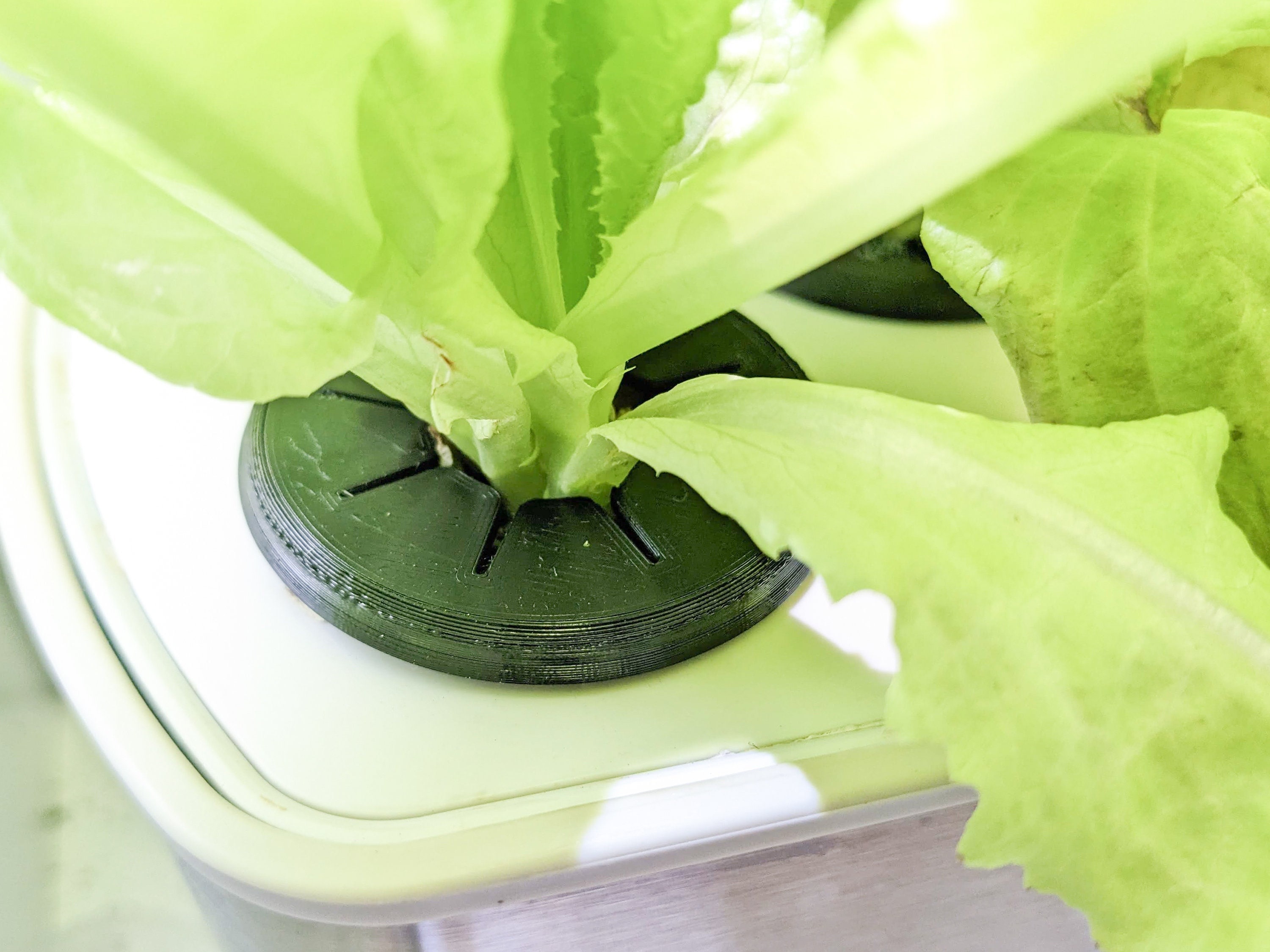 Flexible Cover for AeroGarden - Blocks Light, Prevents Algae
