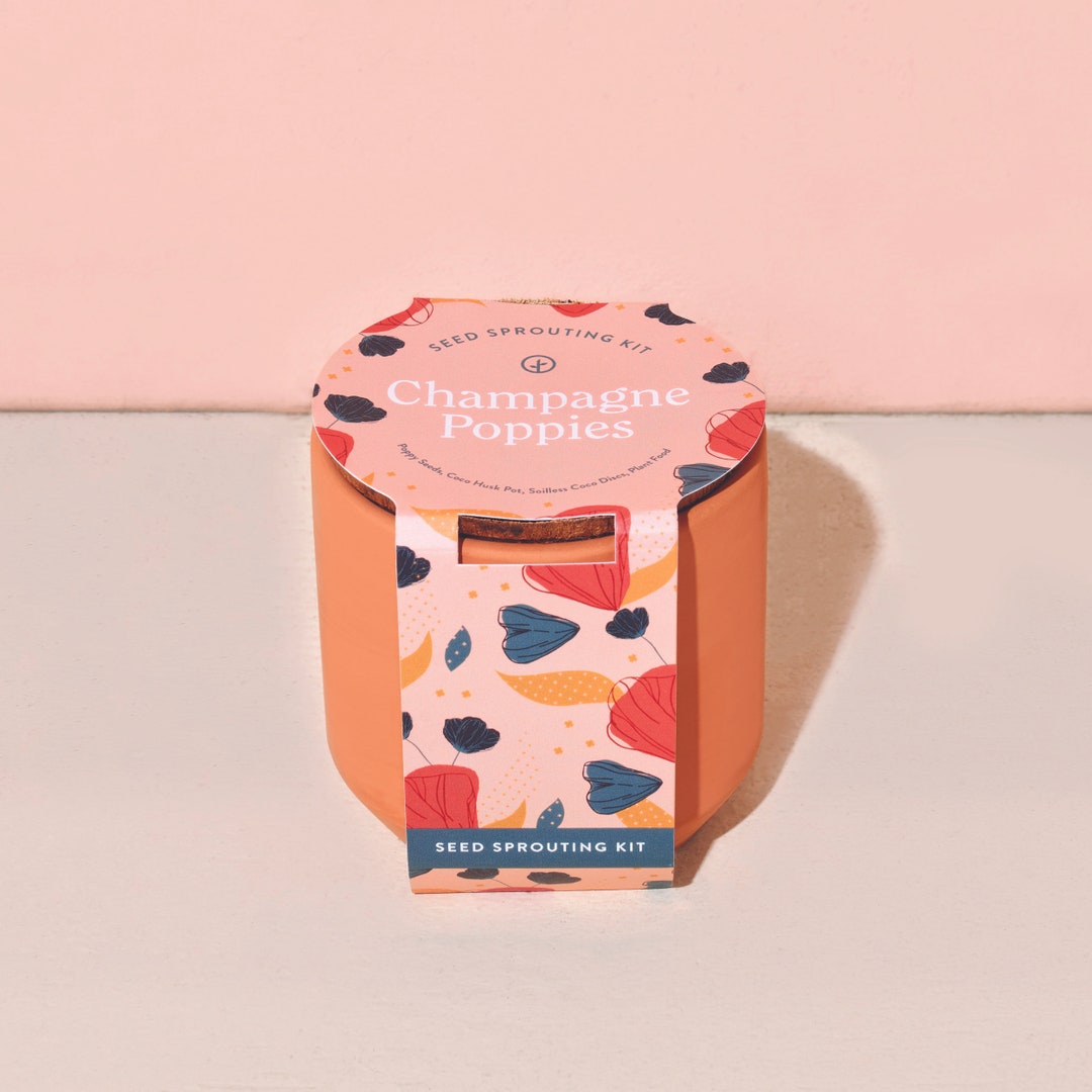 Champagne Poppies Seed Sprouting Kit Etsy