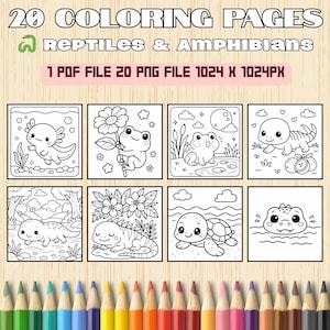Reptile & Amphibian Coloring Pages | 20 Cute Printable Animal Pages for Kids | Frogs, Lizards, Turtles | PDF and PNG | Instant Download