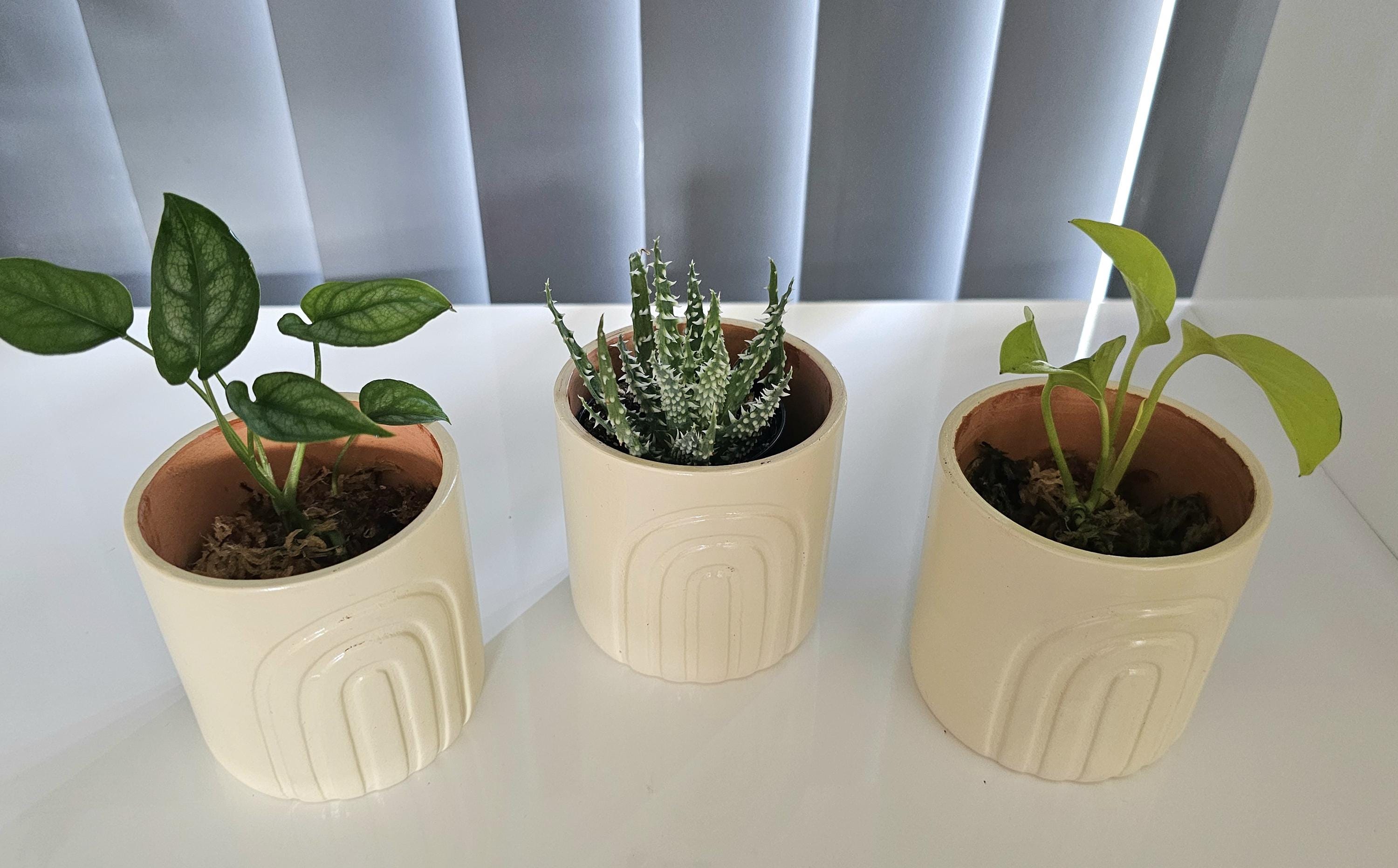 手描きレインボー植木鉢：3個セット、密封 - Etsy 日本