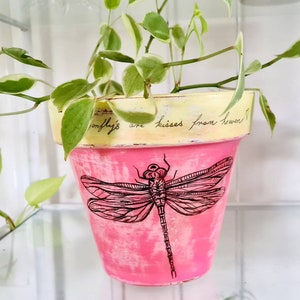 May include: A pink terracotta planter with a yellow rim and a dragonfly design. The planter has the text "Dragonfly's are kisses from heaven" written on the rim.