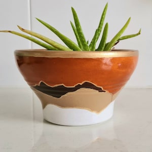 Puede incluir: Un pequeño macetero de cerámica pintado a mano con una base blanca, una banda beige, una banda marrón y una parte superior naranja. El macetero tiene un borde dorado y está lleno de una planta suculenta verde.