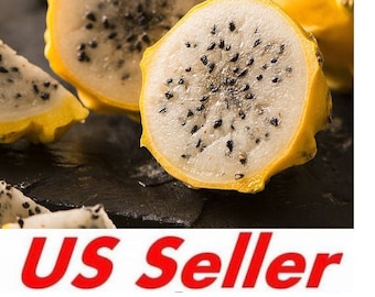 Fresh Dragon Fruit Offers From Colombia