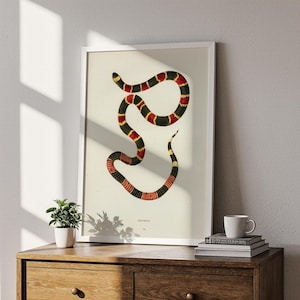 May include: A framed vintage botanical print of a snake. The snake illustration features a black body with red and yellow bands. The print is displayed in a white frame and rests on a wooden dresser. A small potted plant and a coffee cup are also visible.