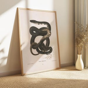 May include: A framed print featuring a detailed illustration of a snake. The snake is depicted in shades of black and gray, with intricate patterns on its body. The artwork is set against a light background, and the frame is a light wood color.