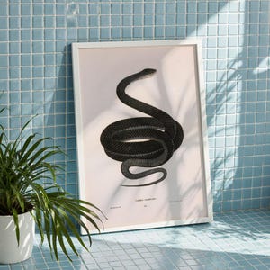 May include: A framed print featuring a detailed illustration of a coiled black snake. The artwork, set against a white background, is encased in a white frame. The print is leaning against a light blue tiled surface, with a potted plant in the foreground.