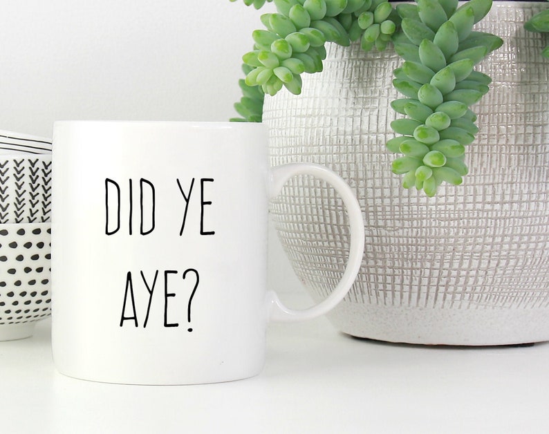 May include: White ceramic mug with the text "DID YE AYE?" in black, a Scottish phrase. The mug has a curved handle and is set against a blurred background with a plant in a textured pot.