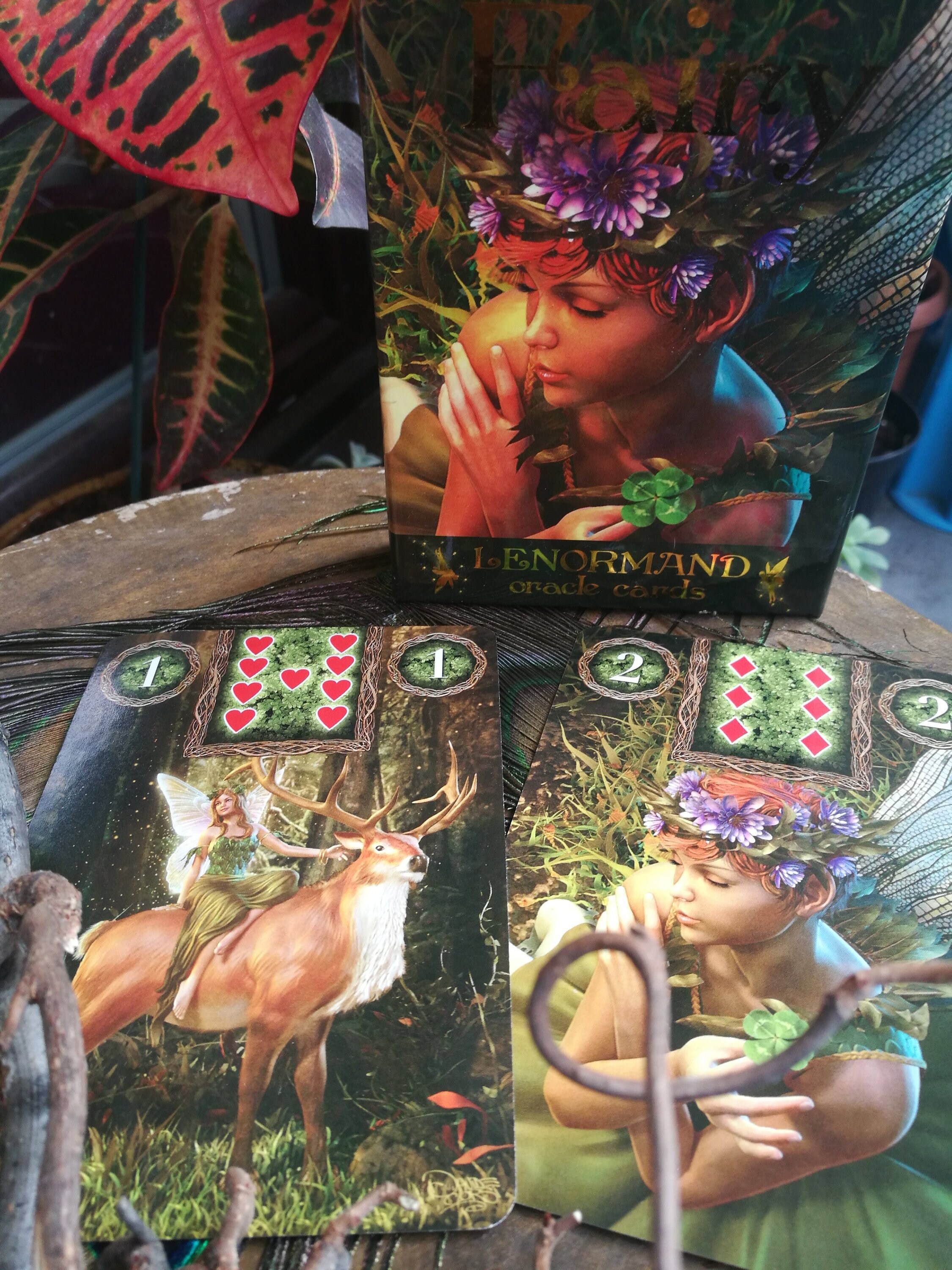Tirage de Carte avec Le Fairy Lenormand Katz Goodwin Davide Corsi