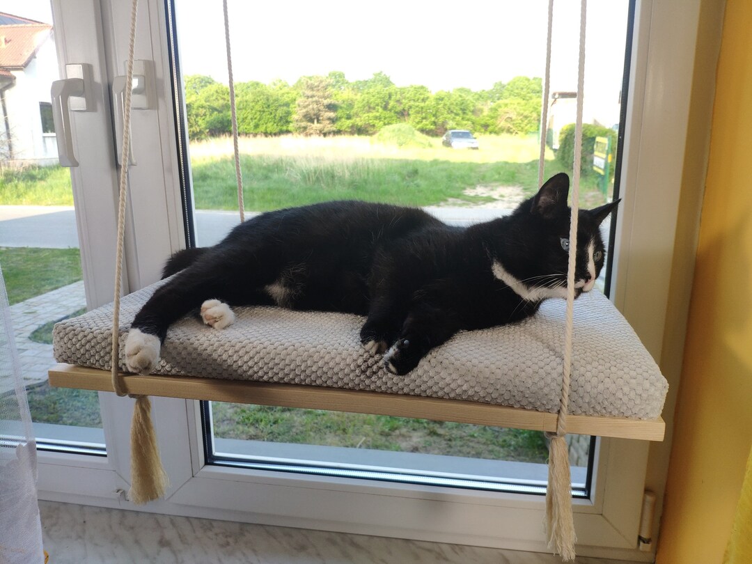 Cat Shelf Window Fixing Floating Perch Bed With Pillow Solid Etsy