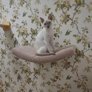 Space-Saving Cat Perch with Removable Cushion - Wall Mount Pet Bed image 11