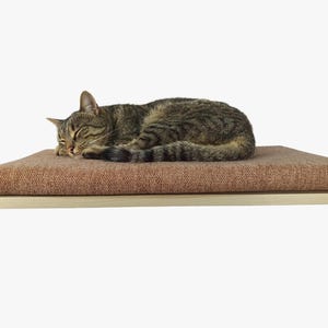 May include: A brown tabby cat sleeping on a brown rectangular cat bed with a wooden base.