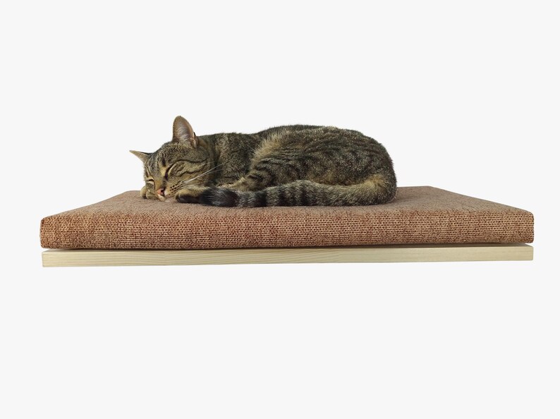 May include: A brown tabby cat sleeping on a brown rectangular cat bed with a wooden base.