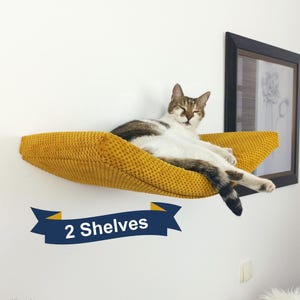 Erhöhen Sie die Nickerchen Ihrer Katze: 2er-Set an der Wand befestigte Sitzstangen mit waschbaren Kissen