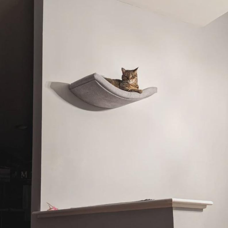 May include: A light gray, curved, fabric-covered wall-mounted cat shelf featuring a textured surface. A brown tabby cat is resting on the shelf, which is securely attached to a plain, light-colored wall, providing an elevated perch for the animal.