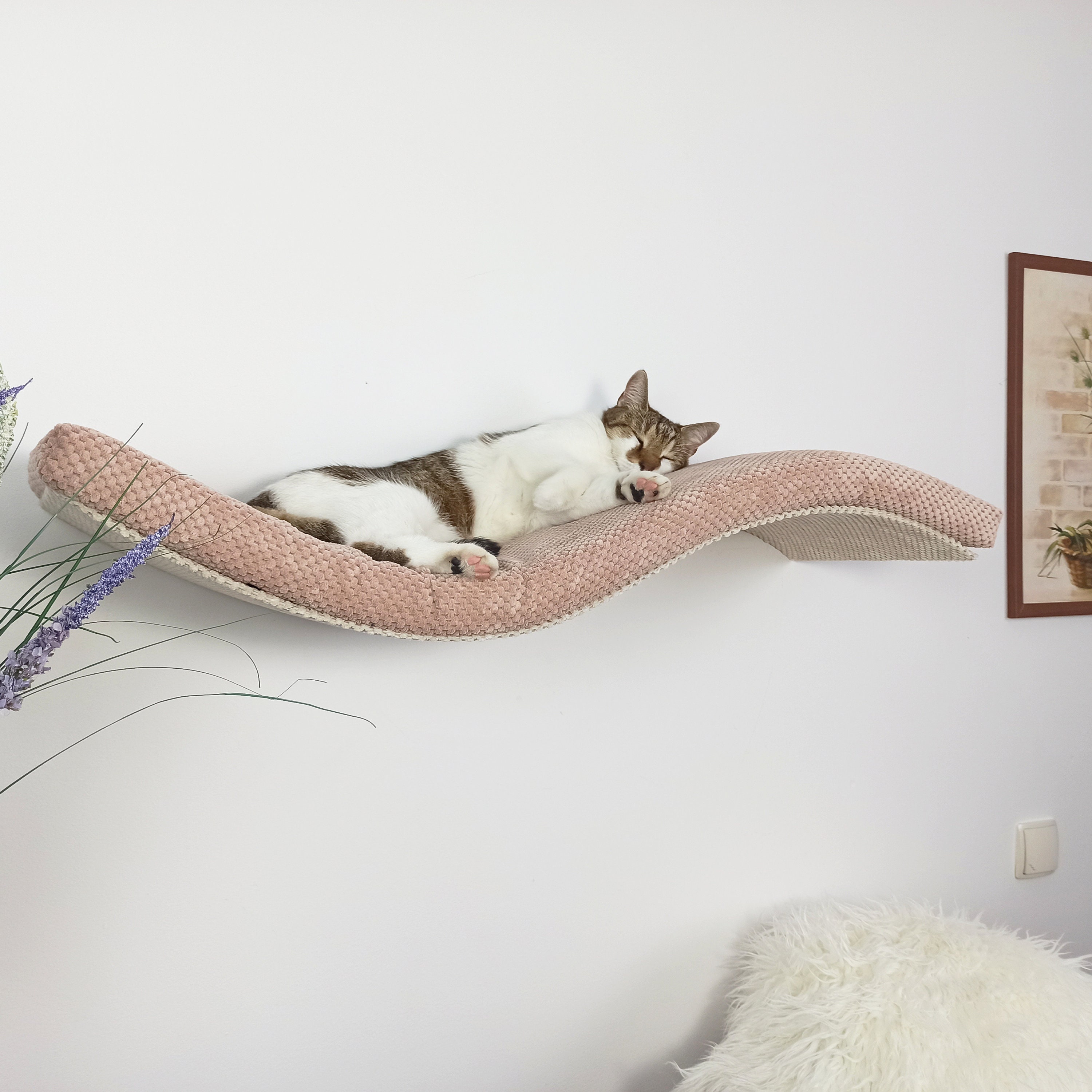 Modern & Practical Wall-Mounted Cat Bed Set For Your Furry Friend